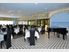 Ultimate Lifestyle Block and/or Wedding Venue - Auckland