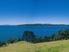 Tawharanui Peninsula