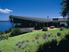 Tawharanui Peninsula