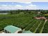 OWN A LUCRATIVE BUSINESS/LIFESTYLE IN CITRUS