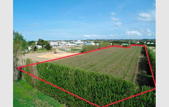 Lot 6, Te Puke Quarry Road