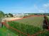 Lot 6, Te Puke Quarry Road