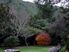 Established Rural Garden Section