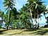 Navilaca Plantation beach front property in Fiji is for sale - $ 675,000 USD