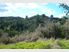 Large 16.78ha Bush Block