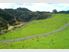 Large 16.78ha Bush Block