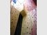 Extreme Backpackers & Indoor Climbing Wall with Red Crater Cafe for Sale in Turangi