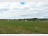 Tauriko Business Estate - Prime Commercial Land