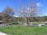 Thunder River Farm