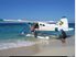 Pacific Island Seaplanes Airline in Fiji is for Sale at $ 3.5 Mil U.S.D plus tax if any