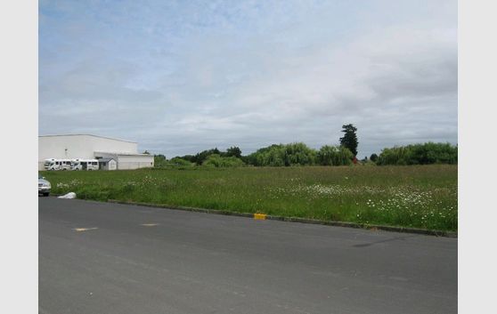 INDUSTRIAL LAND