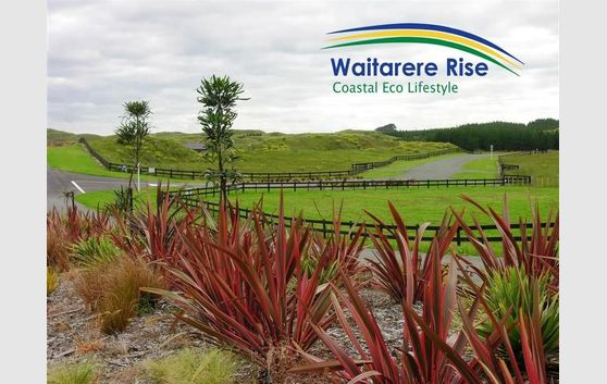Contemplate Coastal Tranquility: Waitarere Rise