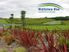 Contemplate Coastal Tranquility: Waitarere Rise