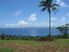 Maravu Plantation Resort in Fiji,Oceanview Spa Villas and Honeymoon Deluxe Bures for sale - $195,000 USD