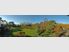 A Boutique Hotel & Event Centre in the Manawatu is for sale - Recent price reduction for this prize possession
