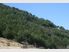 52.8 Hectares Zoned Rural in 4 Titles - Mortgagee Sale!