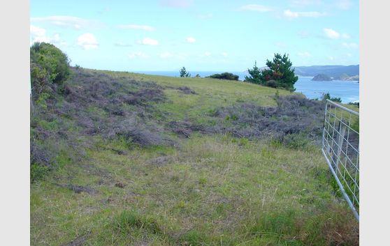 Beach frontage with stunning elevated sea views -New Price! Includes GST