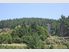 LIFESTYLE, WITH FORESTRY, AND SUBDIVISION POSSIBILITIES!