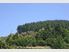 LIFESTYLE, WITH FORESTRY, AND SUBDIVISION POSSIBILITIES!