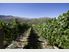 Lot 2 Gibbston Back Road, Gibbston Valley, Queenstown