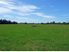 2 FERTILE GRAZING LIFESTYLE BLOCKS