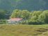 Handy Growing Unit (33ha/81 acres)