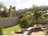 OASIS OF PALMS