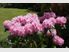 Highway House Boutique B&B Oamaru Style-Elegance & Beauty