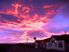 Becks White Horse Hotel for sale in Central Otago - Freehold Going Concern