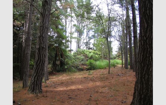 HIDE AWAY:  LAND BANK FOR THE FUTURE!