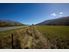 Vineyard vistas