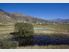 Vineyard vistas