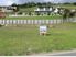 QUIET LOCALITY AND WITH VIEWS