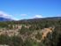 St Arnaud 28 Hectare Native Bush Block