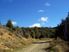 St Arnaud 28 Hectare Native Bush Block