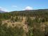 St Arnaud 28 Hectare Native Bush Block