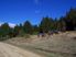 St Arnaud 28 Hectare Native Bush Block