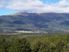 St Arnaud 28 Hectare Native Bush Block