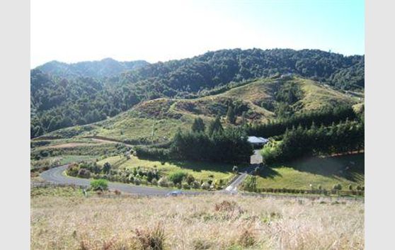 Lot 1 Lifestyle in Waikino