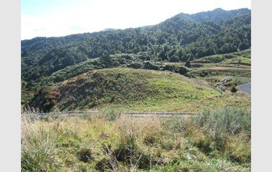 Another country living option LOT 2 Waikino