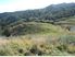 Another country living option LOT 2 Waikino