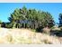 POTENTIAL FOR FUTURE DEVELOPMENT.. OVER 4 ACRES WITH FABULOUS HARBOUR VIEWS .JUST A FEW MINUTES FROM TOWN.