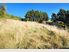 POTENTIAL FOR FUTURE DEVELOPMENT.. OVER 4 ACRES WITH FABULOUS HARBOUR VIEWS .JUST A FEW MINUTES FROM TOWN.