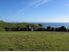 ONE OF NZ'S FINEST COASTAL PROPERTIES