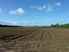 Pukekohe: Choice Cropping land