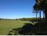 Excellent Otaua Opportunity - Do not delay !