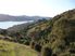 Homestead on land ranging from 4.48 to 237 hectares - You choose