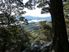 Homestead on land ranging from 4.48 to 237 hectares - You choose