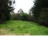 Magical Orinoco Paradise (13.8ha)