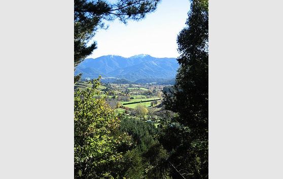 Magical Orinoco Paradise (13.8ha)
